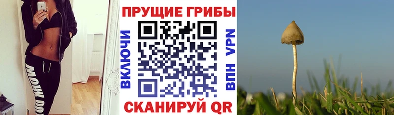 мега вход Уссурийск Галлюциногенные грибы мицелий купить наркоту