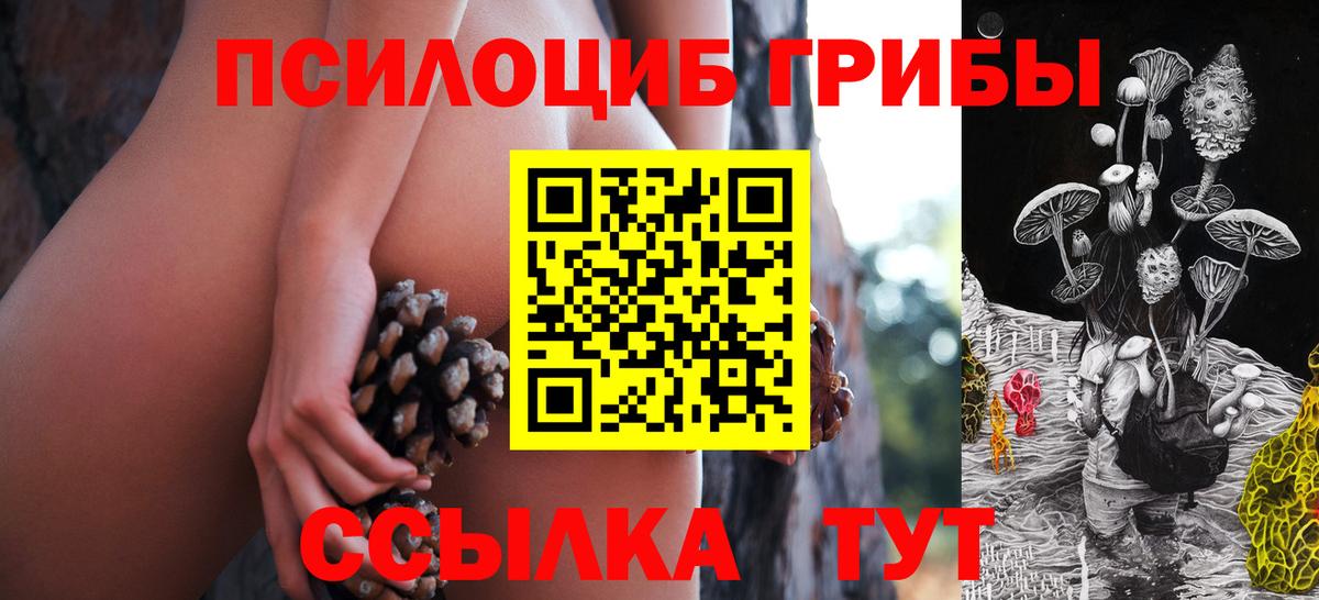 Галлюциногенные грибы прущие грибы  Вход с VPN  где купить наркотик  Уссурийск 