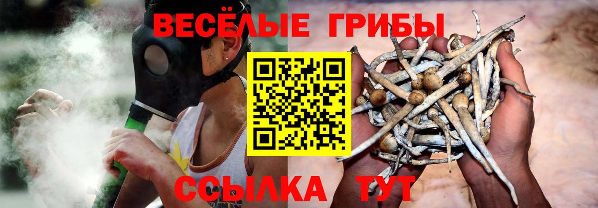 Псилоцибиновые грибы MAGIC MUSHROOMS Уссурийск